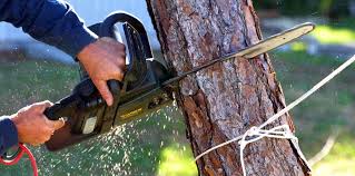 Best Utility Line Clearance  in Muskogee, OK