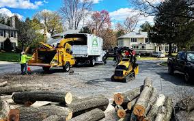 Best Root Management and Removal  in Muskogee, OK
